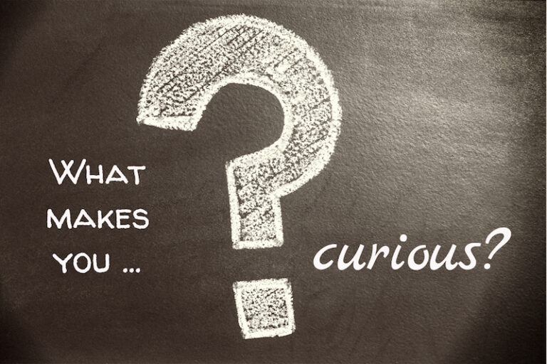 Did You Ask a Good Question Today?