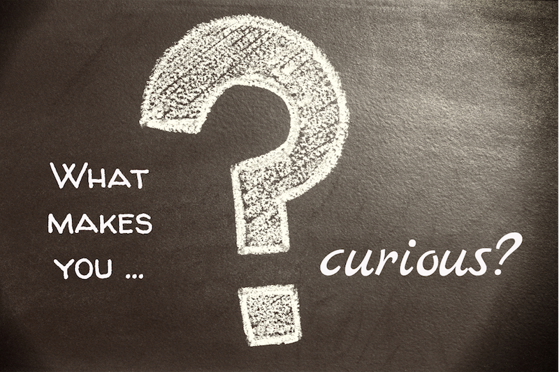 Did You Ask a Good Question Today?