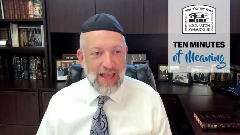 Ten Minutes of Meaning (Part 124): Are You Smarter Than an Animal?