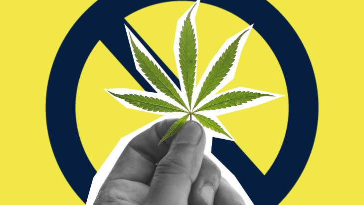 What Does Jewish Law Say about Marijuana?