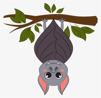 What Sleeping Bats Can Teach Us About Making Amends With Ourselves