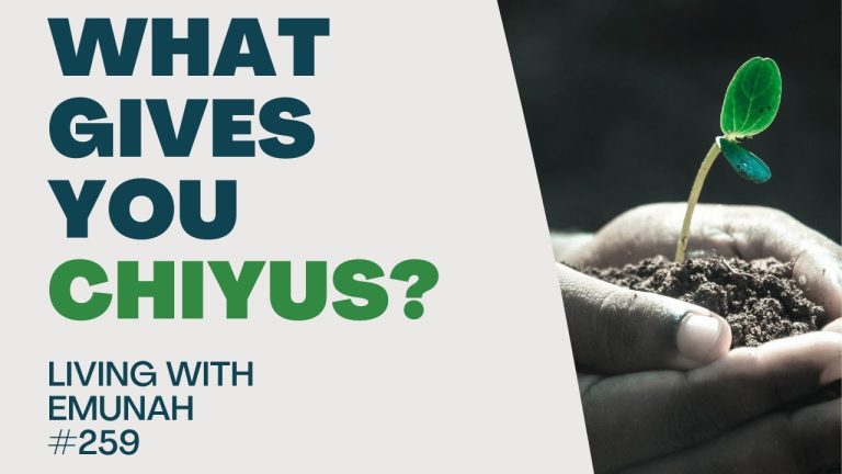 Living With Emunah (Part 259): What Gives You Chiyus?