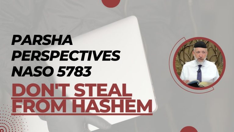 Naso: Don’t Steal From Hashem