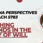 Shelach: Nothing Stands in the Way of Will