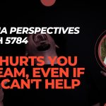 Noach: If it Hurts You Scream, Even if you Can’t Help