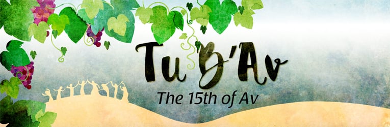 A Weird Shidduch and the Message of Tu B’Av