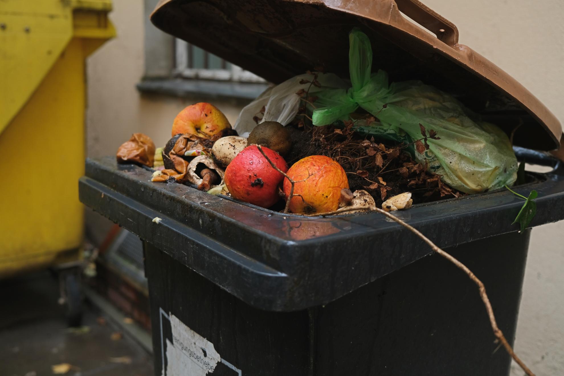 Eating Garbage