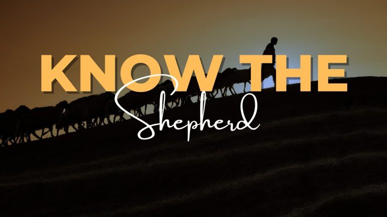 Living With Emunah (Part 330): Know the Sheperd