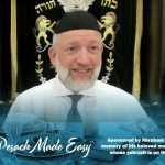 Pesach Made Easy (2025)