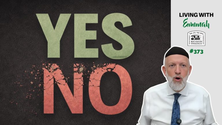 Living With Emunah (Part 373): There is no NO