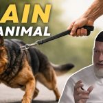Tanya (Part 42): Chapter 9 – Training the Animal