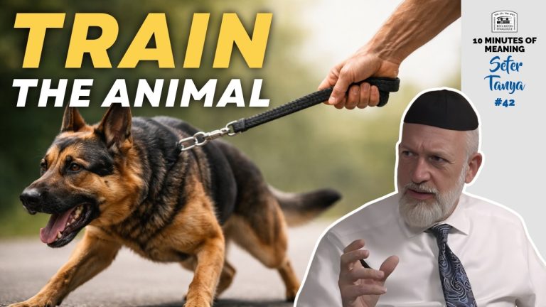Tanya (Part 42): Chapter 9 – Training the Animal