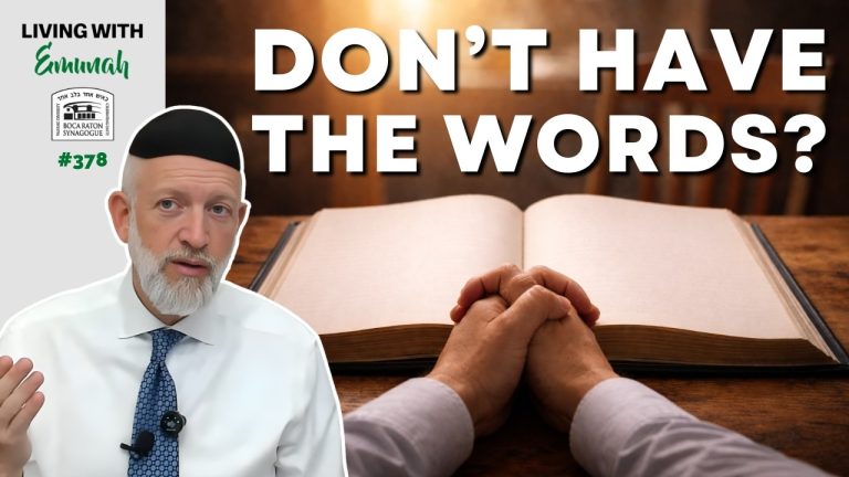 Living With Emunah (Part 378):  Davening for Davening