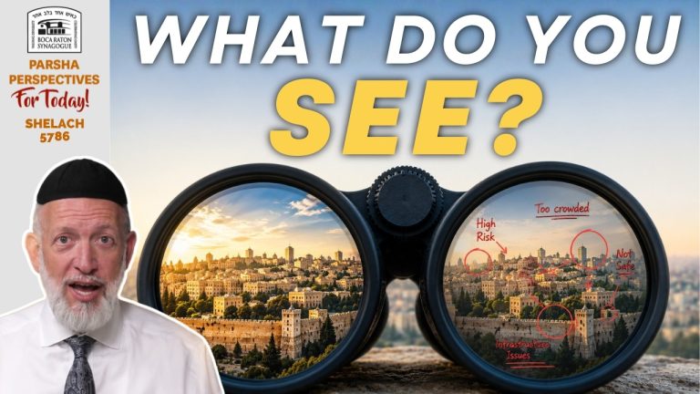 Shelach: Tourists, Not Spies